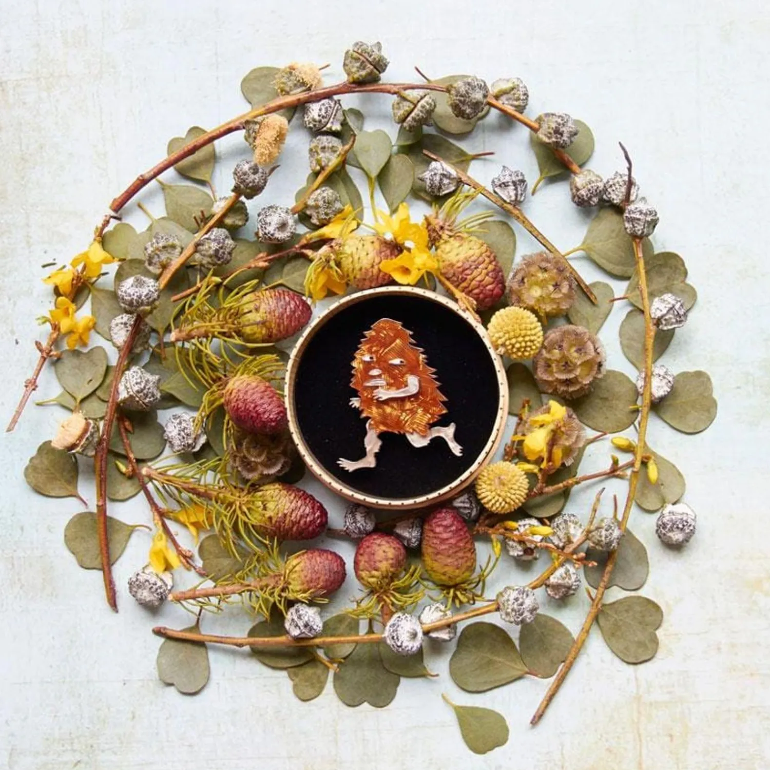 Banksia Man Brooch^Erstwilder Discount