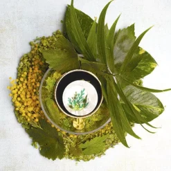 Botanical Abode Brooch^Erstwilder