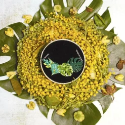 Fronds Of Fancy Necklace (Small)^Erstwilder Best