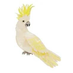 Hello Cocky Brooch^Erstwilder Online