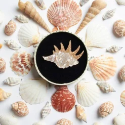 Mobile Home Shell Brooch^Erstwilder New