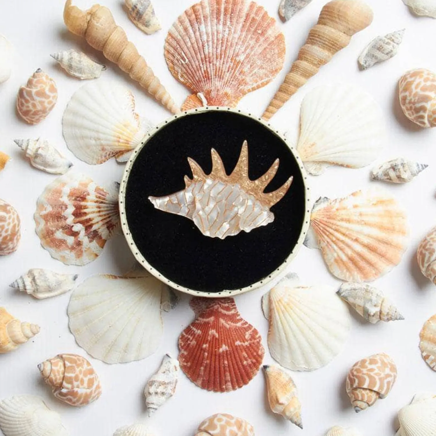 Mobile Home Shell Brooch^Erstwilder New