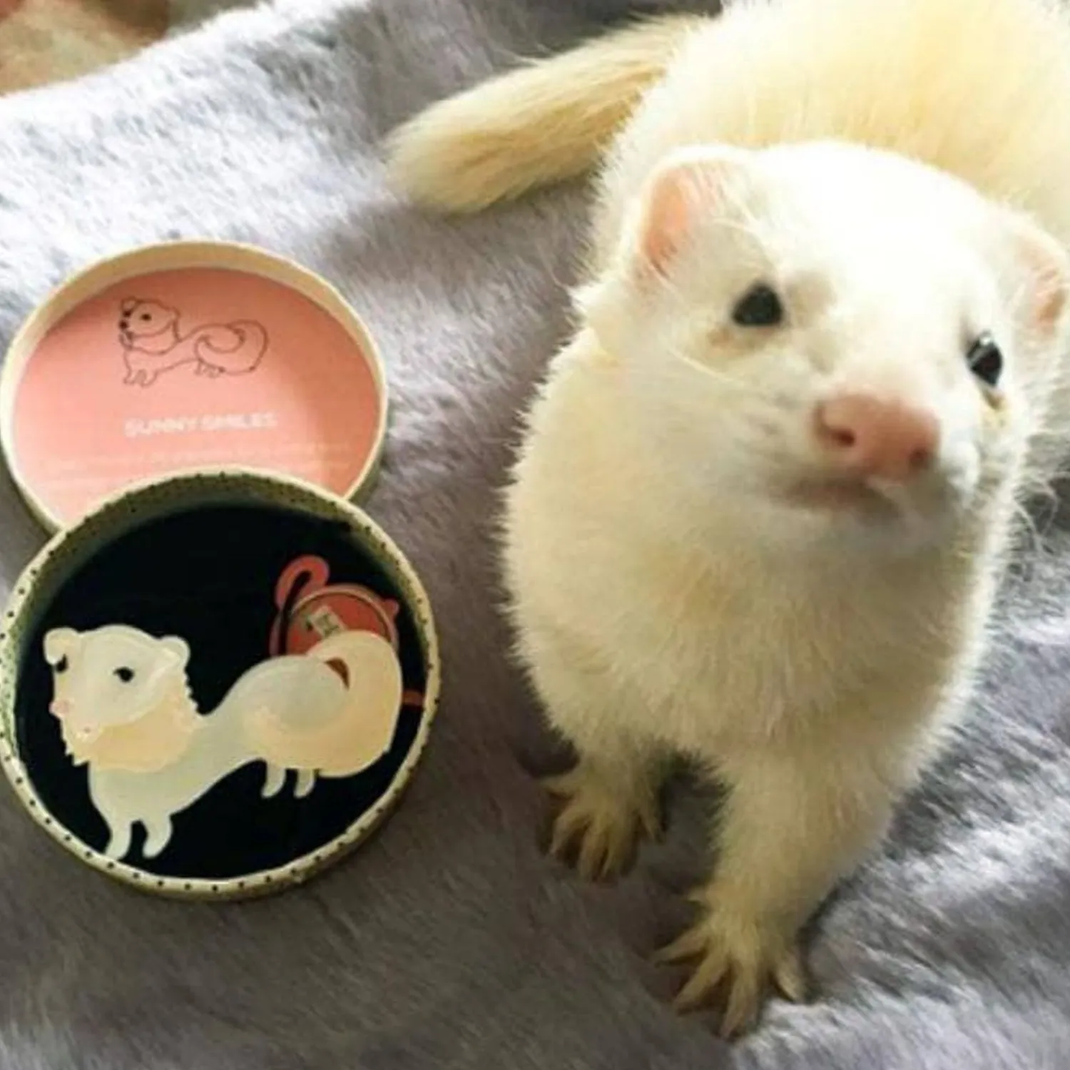 Sunny Smiles Ferret Brooch^Erstwilder Best